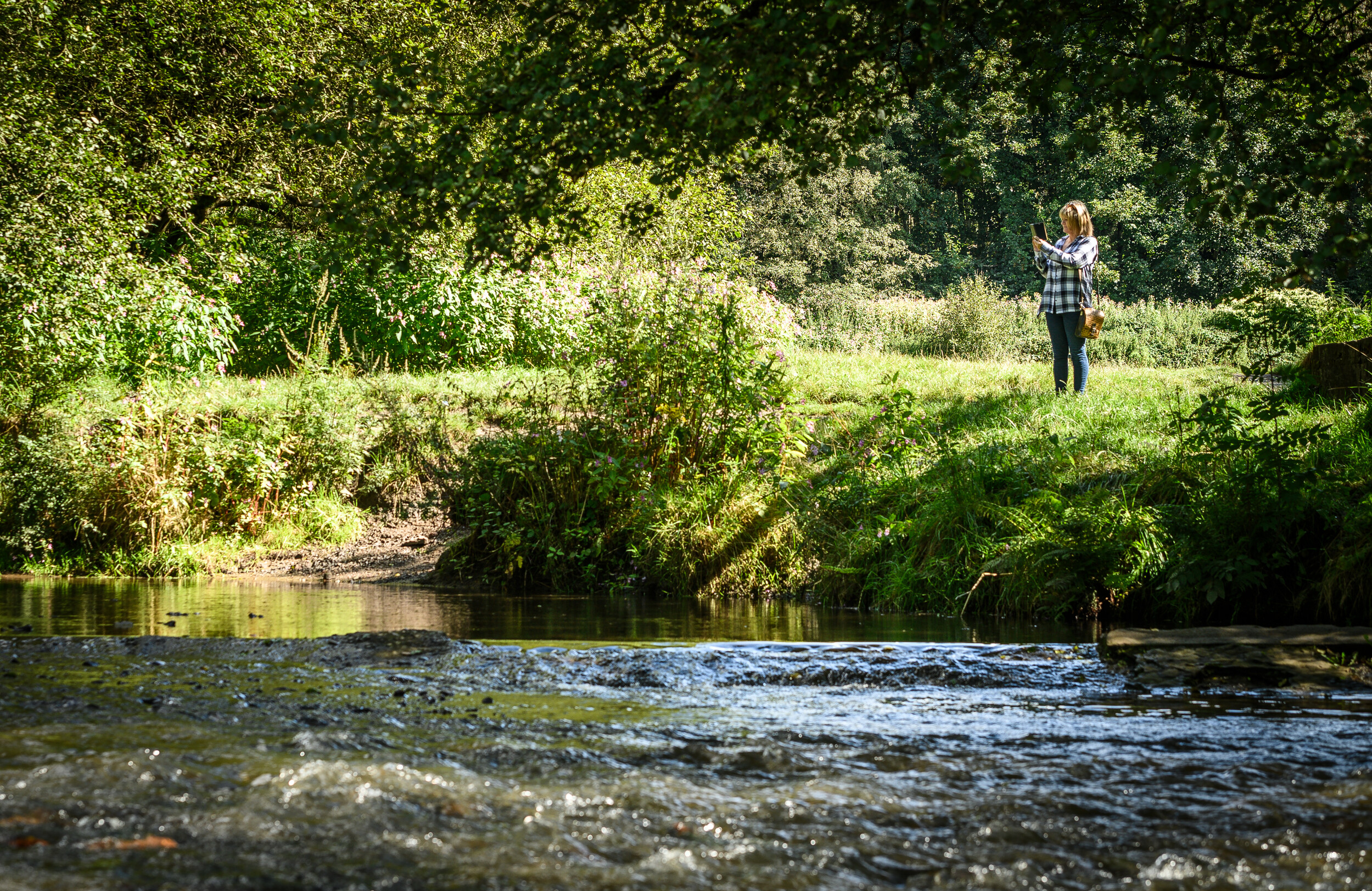 Brand Bolton imagery. 2023. Leverhulme Park, Brieightmet, Bolton.